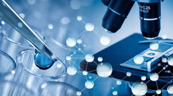 2018年自貿試驗區外資準入負面清單出爐 技術開發領域迎重大突破