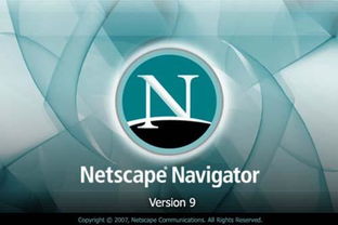 網(wǎng)景通信公司 互聯(lián)網(wǎng)信息服務(wù)領(lǐng)域的先驅(qū)